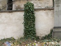 495 - 496 Dorner - Bugát